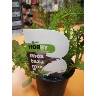 Compra MOSTAZA MIX ECOLÓGICA ME11 en la tienda online Fito Agrícola