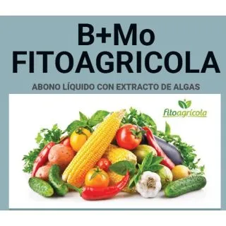 Compra BORO + Mo FITOAGRICOLA (1 l.) en la tienda online Fito Agrícola