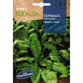 Compra ESPINACA EMILIA F1 BABY LEAF (500 gr.). en la tienda online Fito Agrícola