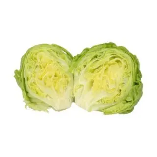 Compra LECHUGA JUDALINAS RZ Pildorada (5.000 Semillas). en la tienda online Fito Agrícola