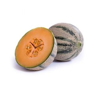 Compra MELÓN TILOUKA RZ F1 Precisión (1.000 Semillas). en la tienda online Fito Agrícola