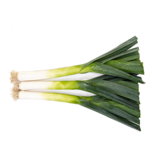 Compra PUERRO FLOCCUS RZ F1 Pildorado (5.000 Semillas). en la tienda online Fito Agrícola