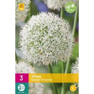 Compra ALLIUM MOUNT EVEREST XXL en la tienda online Fito Agrícola