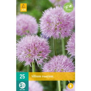 Compra ALLIUM ROSEUM en la tienda online Fito Agrícola