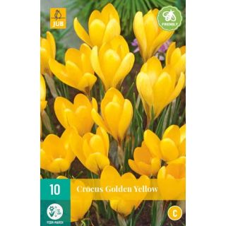 Compra CROCUS GOLDEN YELLOW en la tienda online Fito Agrícola