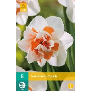 Compra NARCISOS REPLETE en la tienda online Fito Agrícola