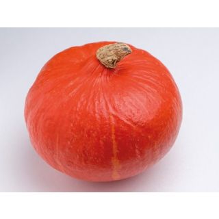 Compra CALABAZA KAORI KURI F1 ECOLÓGICA (1000 Semillas). en la tienda online Fito Agrícola