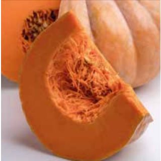 Compra CALABAZA MANOSK F1 ECOLÓGICA (1000 Semillas). en la tienda online Fito Agrícola