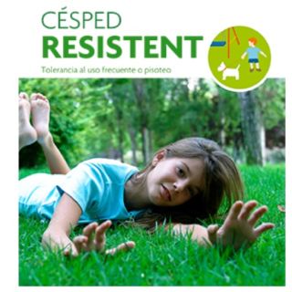 Compra CÉSPED RESISTENT (25 Kgr.). en la tienda online Fito Agrícola