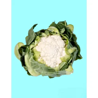 Compra COLIFLOR ALSTON F1 (2.500 Semillas) en la tienda online Fito Agrícola