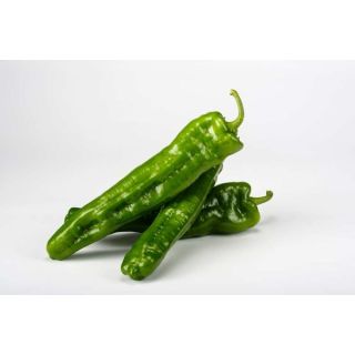 Compra PIMIENTO VIMA F1 (1.000 Semillas). en la tienda online Fito Agrícola