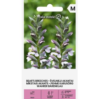 Compra ACANTHUS (5 Semillas). en la tienda online Fito Agrícola