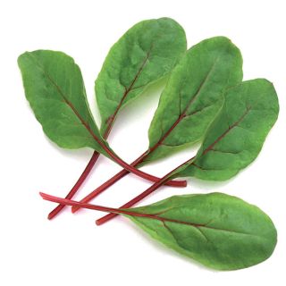 Compra ACELGA BARBY BABY LEAF (100 gr.) en la tienda online Fito Agrícola