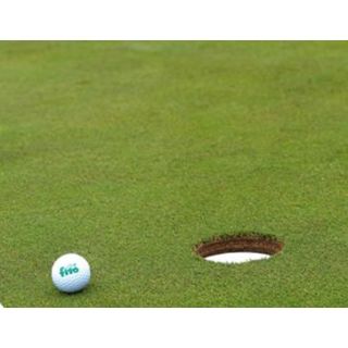 Compra CESPITOSAS GRATIS (1 Kgr.). en la tienda online Fito Agrícola