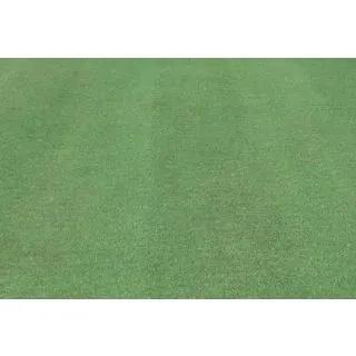 Compra AGROSTIS TENUIS HIGHLAND (250 gr.). en la tienda online Fito Agrícola