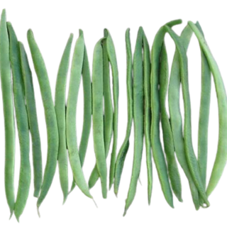 Compra JUDÍA AINTREE Sin Tratar (1000 Semillas.). en la tienda online Fito Agrícola