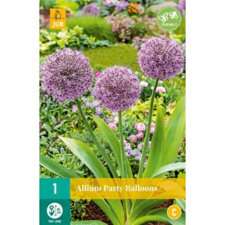 Compra ALLIUM PARTY BALLOONS en la tienda online Fito Agrícola