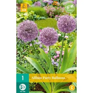 Compra ALLIUM PARTY BALLOONS en la tienda online Fito Agrícola