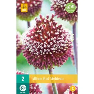 Compra ALLIUM RED MOHICAN en la tienda online Fito Agrícola