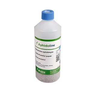 Compra APHIDOLINE (1.000 Ind.) en la tienda online Fito Agrícola