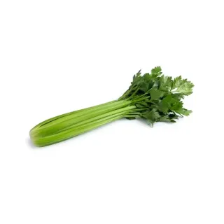 Compra APIO CLOVERDALE RZ F1 Píldorado (10.000 Semillas). en la tienda online Fito Agrícola