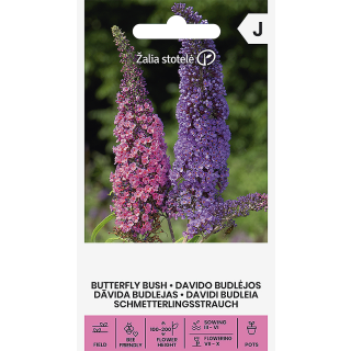 Compra ARBUSTO DE MARIPOSAS (0,1 gr. - Cerca de 2.900 Semillas). en la tienda online Fito Agrícola