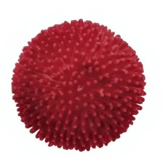 Compra BELLIS TASSO RED (240 Plantas). en la tienda online Fito Agrícola