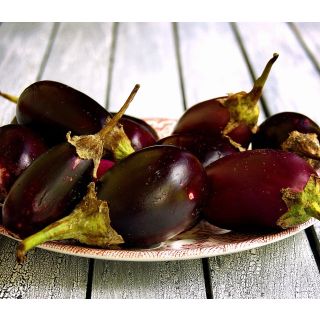 Compra BERENJENA NEGRA HOBBY FRESH M13 en la tienda online Fito Agrícola