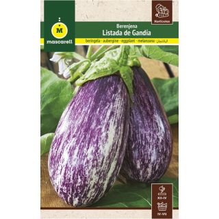 Compra BERENJENA LISTADA DE GANDIA (2 gr.). en la tienda online Fito Agrícola