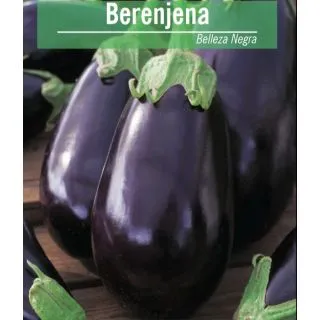 Compra BERENJENA BLACK BEAUTY ECO (10 gr.). en la tienda online Fito Agrícola