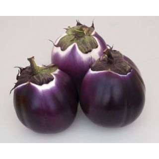 Compra BERENJENA BRILLANT F1 (1.000 Semillas) en la tienda online Fito Agrícola