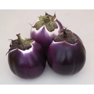 Compra BERENJENA BRILLANT F1 Pildorada (5.000 Semillas) en la tienda online Fito Agrícola