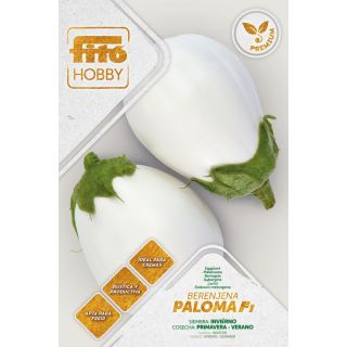Compra BERENJENA PALOMA F1 (50 Semillas). en la tienda online Fito Agrícola