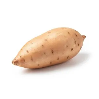Compra BONIATO BLANCO MS6 en la tienda online Fito Agrícola