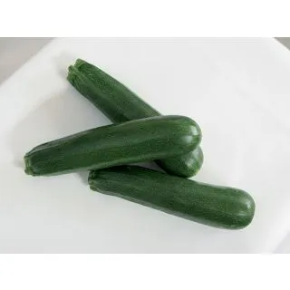 Compra CALABACÍN KIMBER F1 BIO (1.000 Semillas) en la tienda online Fito Agrícola