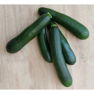 Compra CALABACÍN CONSTANTINO F1 (1.000 Semillas) en la tienda online Fito Agrícola