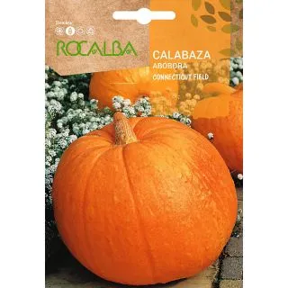 Compra CALABAZA CONNECTICUT FIELD (5 gr.). en la tienda online Fito Agrícola