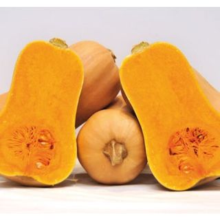 Compra CALABAZA HANNAH F1 ECOLÓGICA (1000 Semillas). en la tienda online Fito Agrícola