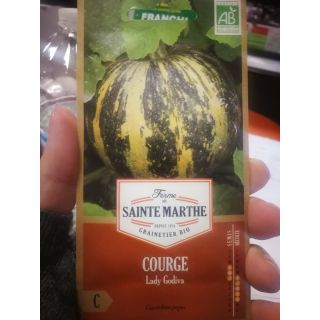 Compra CALABAZA LADY GODIVA AB (15 Semillas) en la tienda online Fito Agrícola