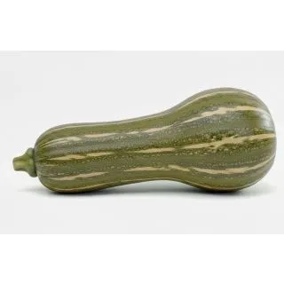 Compra CALABAZA VASCA PACK MS6 en la tienda online Fito Agrícola