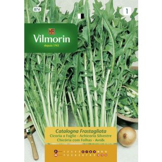 Compra ACHICORIA CATALOGNA FRASTAGLIATA (12 gr.). en la tienda online Fito Agrícola