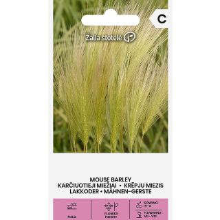 Compra CEBADA DE RATÓN (0,5 gr. - Cerca de 425 Semillas). en la tienda online Fito Agrícola