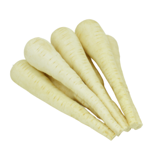 Compra CHIRIVÍA WARRIOR F1 Sin Tratar (25.000 Semillas). en la tienda online Fito Agrícola