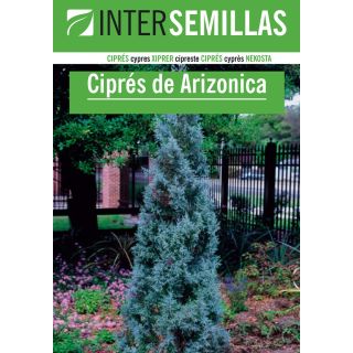 Compra CIPRES ARIZONA (1 gr.). en la tienda online Fito Agrícola
