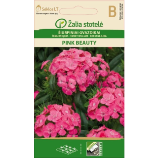 Compra CLAVEL DE POETA SWEET WILLIAM PINK BEAUTY (1 gr. - Cerca de 900 Semillas). en la tienda online Fito Agrícola
