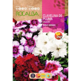 Compra CLAVELINA DE PLUMA DOBLE VARIADO (1 gr.). en la tienda online Fito Agrícola