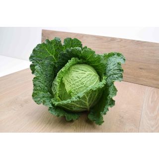 Compra COL CONVOY F-1 (1.000 Semillas). en la tienda online Fito Agrícola