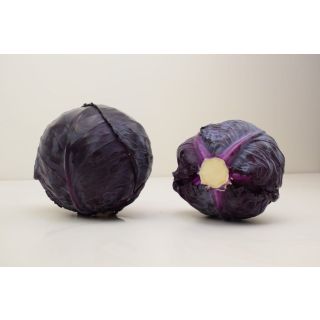 Compra COL LOMBARDA RUBY PERFECTION F1 (2.500 Semillas) en la tienda online Fito Agrícola