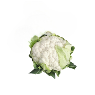 Compra COLIFLOR BERNOULLI F1 Peliculada (2.500 Semillas) en la tienda online Fito Agrícola