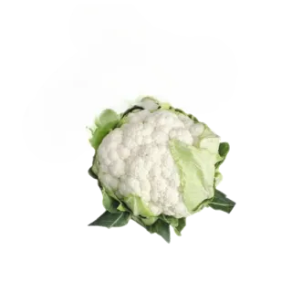 Compra COLIFLOR BERNOULLI F1 Peliculada (2.500 Semillas) en la tienda online Fito Agrícola